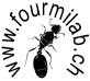 Grey Line (Fourmilab) logo