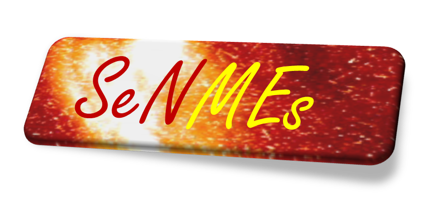 Servicio Nacional de Meteorología Espacial logo
